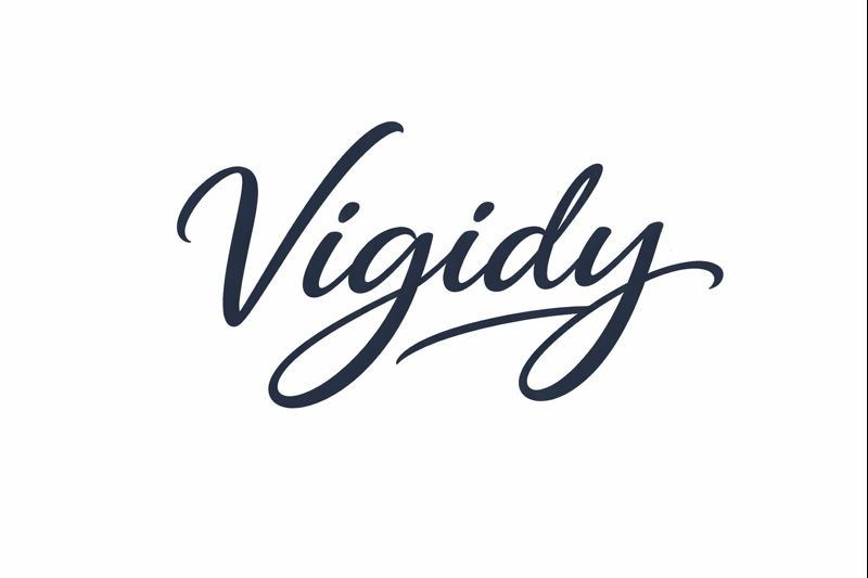 Vigidy